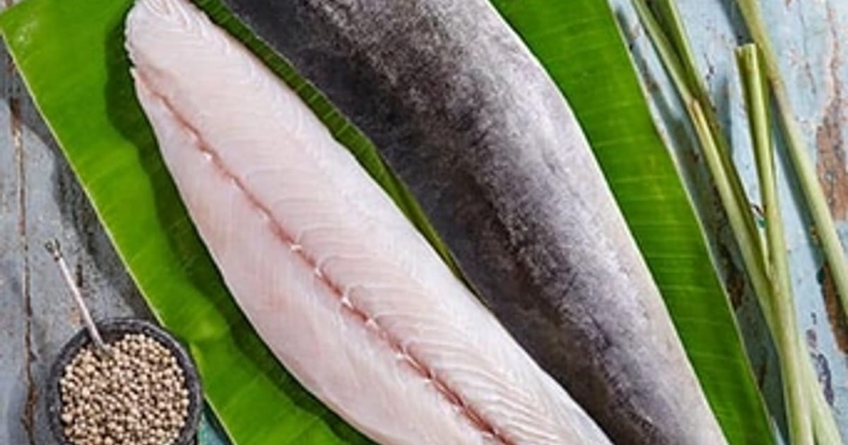 Fillet Cobia (IVP / IQF)